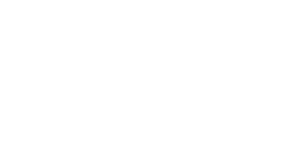 SAFETYNET-Software