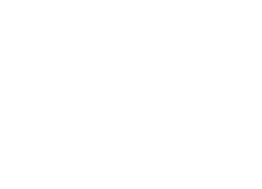 Safety Net Assure Logo
